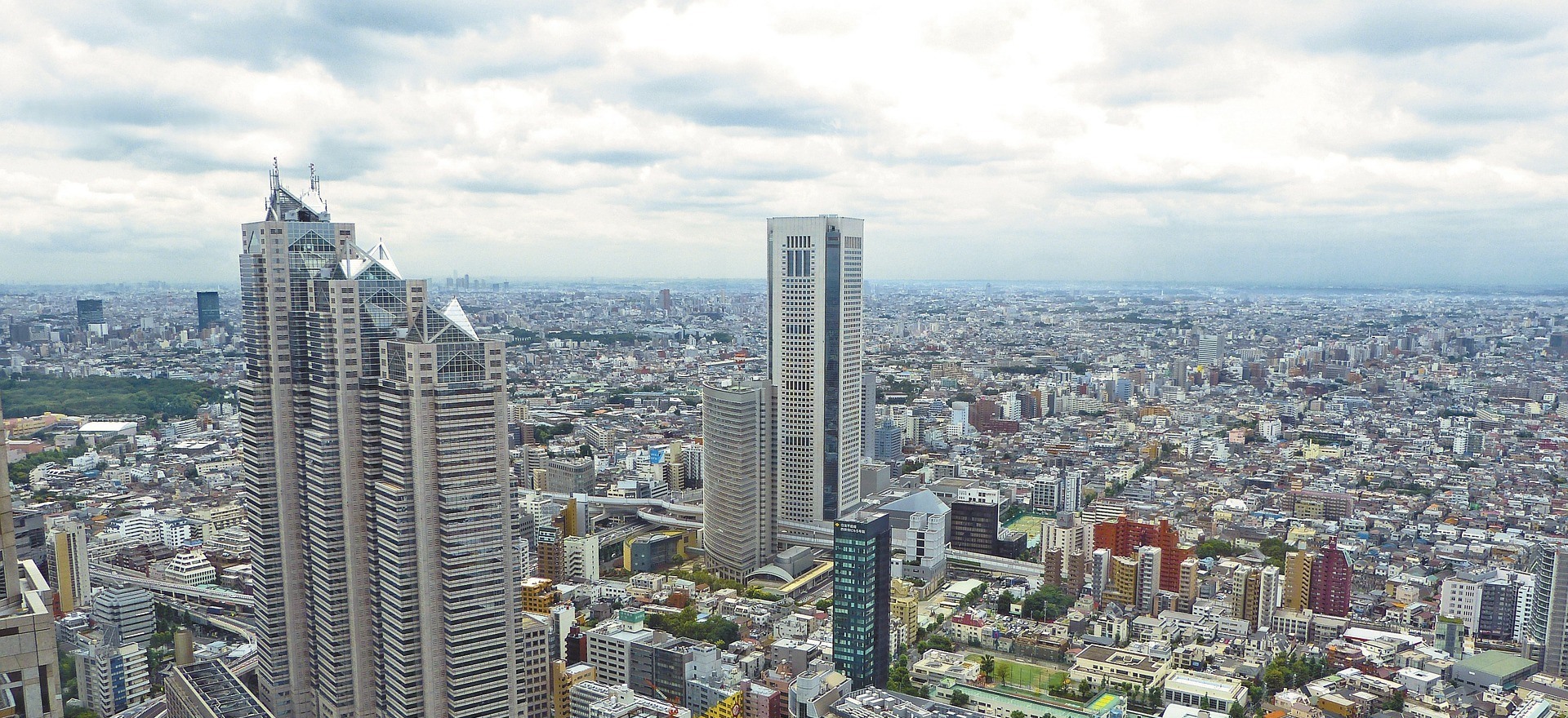 Professional trader analyzing market data